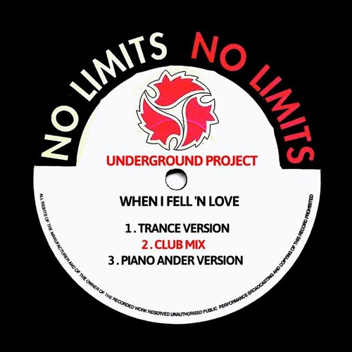 Underground Project - When I Fell 'n Love [HCD377]
